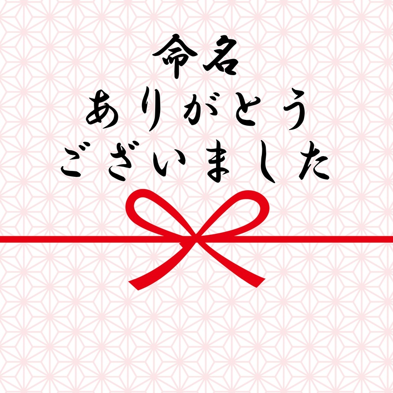 命名ありがとうございます